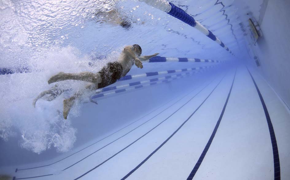 underwater shot of swimmers in lane swimming pool